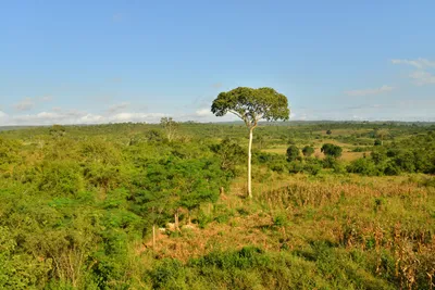 DSC_4367 (Large).JPG